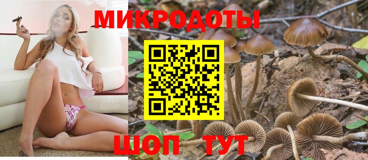 Галлюциногенные грибы Psilocybine cubensis Сергиев Посад