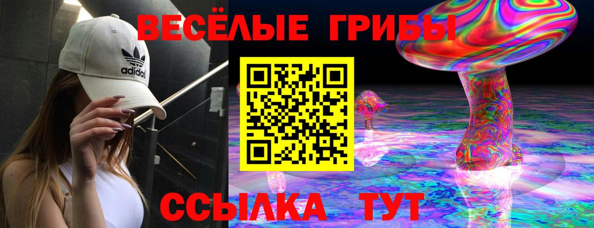 Сергиев Посад  Галлюциногенные грибы MAGIC MUSHROOMS  Вход с VPN 